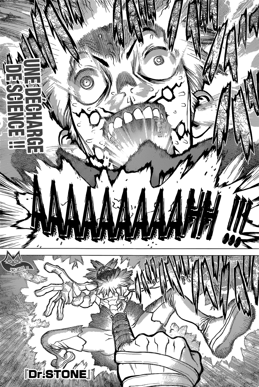 Dr. Stone: Chapter 82 - Page 1